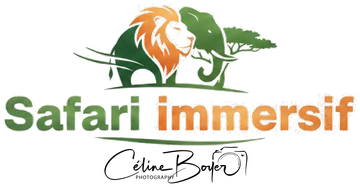 Safari Immersif · Céline Boyer